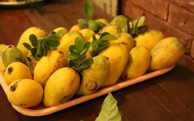 517999343_1167545105414438_3591900681606356592_n